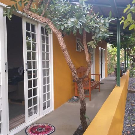 Jardim Da Lila - Um Recanto De Paz Em Alto Paraiso อัลโต ปาไรโซ เด โกยาส ภายนอก รูปภาพ